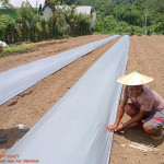 Agriculture
