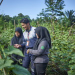 Edukasi Pertanian